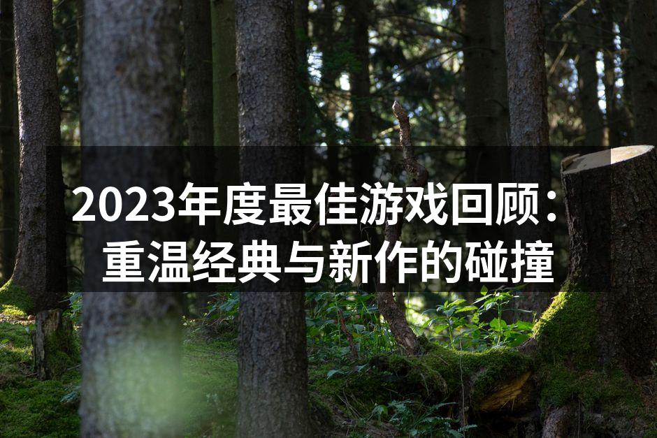 2023年度最佳游戏回顾：重温经典与新作