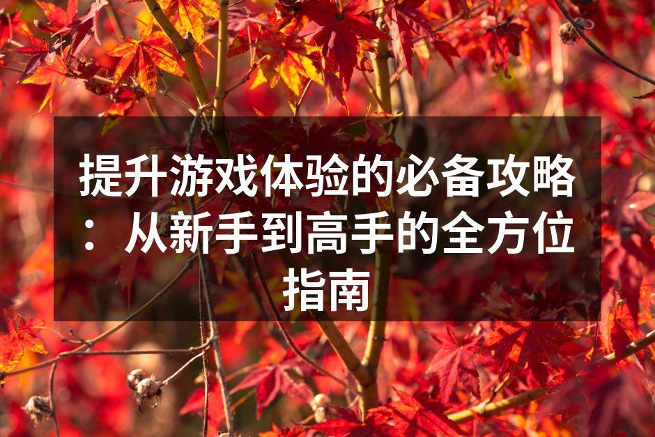 提升游戏体验的必备攻略：从新手到高手的全方位指南